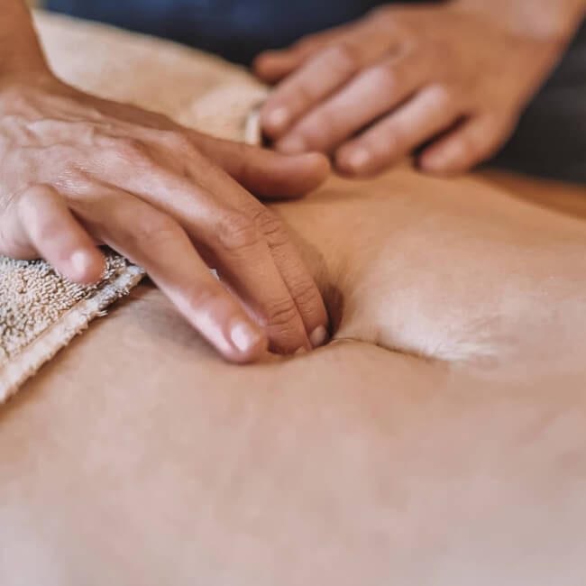 masaza scar grid (1)